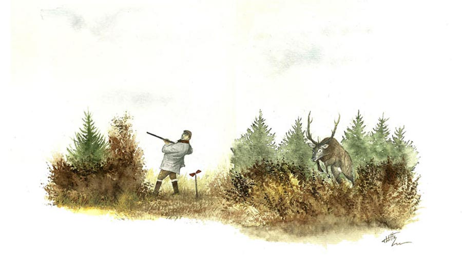 4 Questions For A Hunting Illustrator